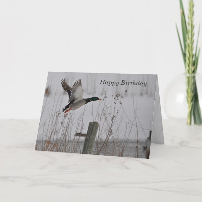 Happy Birthday Mallard Duck Karte (Vorderseite)