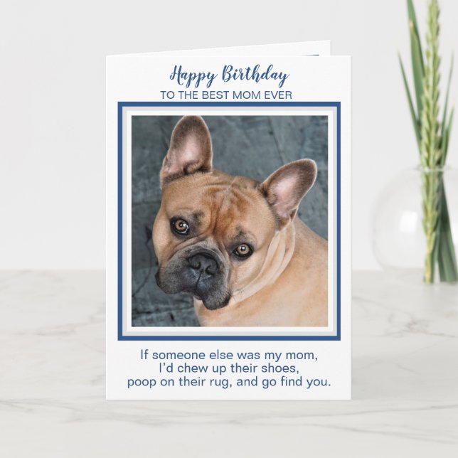 Happy Birthday Mama Funny Dog Welten Beste Hunde M Karte (Vorderseite)