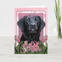 Happy Birthday Mama - Labrador - Black - Gage