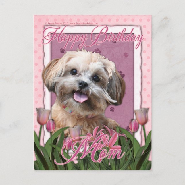 Happy Birthday Mama - ShihPoo - Maggie Postkarte (Vorderseite)