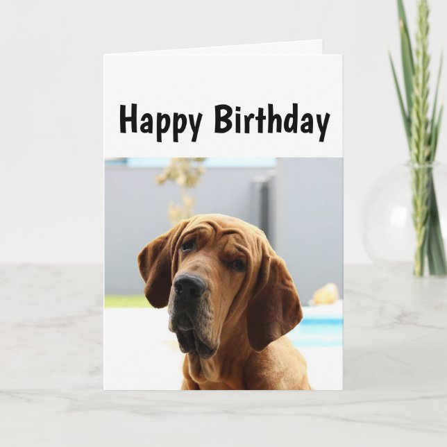 Happy Birthday Mittelalter über den Hügel Spaß Hun Karte (Vorderseite)