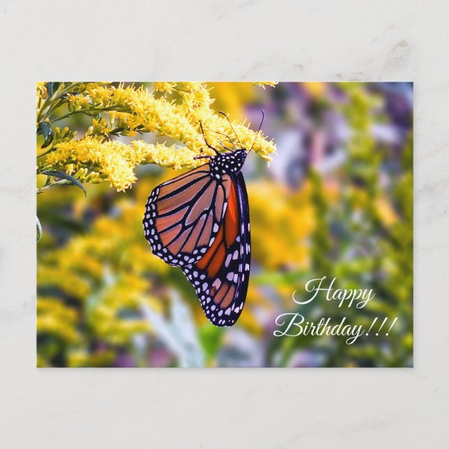 Happy Birthday Monarch Butterfly Postcard Postkarte (Vorderseite)
