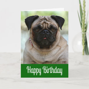 Happy Birthday Mops Mops-Hund Grüne Grußkarte Karte
