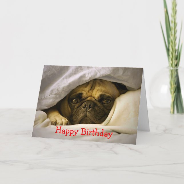 Happy Birthday Mops Puppy Dog Grußkarte Karte (Vorderseite)