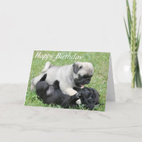 Happy Birthday Mops Welpe Hund Grußkarte