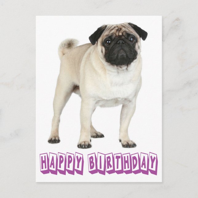 Happy Birthday Mops Welpe Hund Lila Postkarte (Vorderseite)
