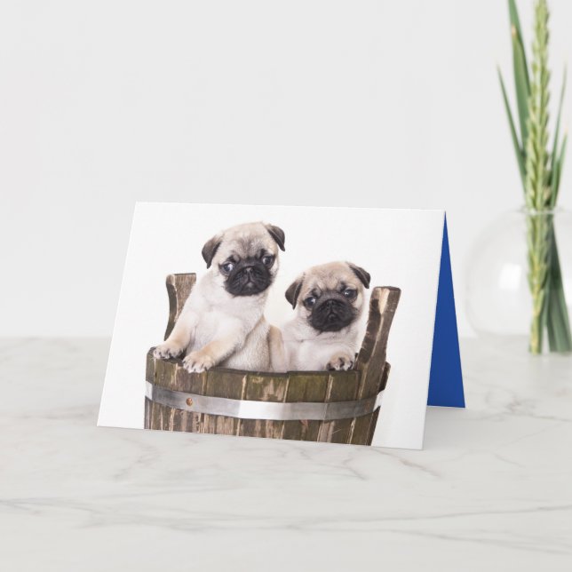 Happy Birthday Mops Welppy Dog Grußkarte - Verse Karte (Vorderseite)