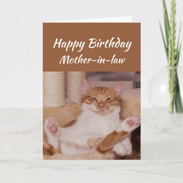 Happy Birthday Mother-in-law Celebrate Funny Cat Karte (Vorderseite)