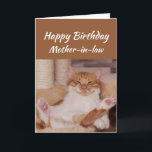 Happy Birthday Mother-in-law Celebrate Funny Cat Karte<br><div class="desc">Happy Birthday Mother-in-law Celebrate it way you want with a cute relaxing Cat Funny animal birthday greeting to customize</div>