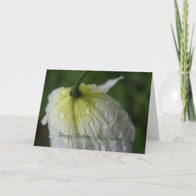 Happy Birthday My Darling White Poppy Card Karte (Vorderseite)