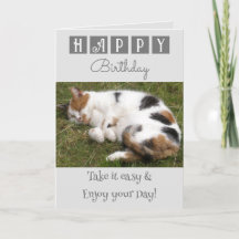 Happy Birthday nehmen es leicht Katz Foto grau