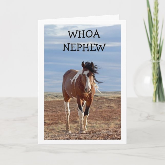 HAPPY BIRTHDAY "NEPHEW" CARD KARTE (Vorderseite)