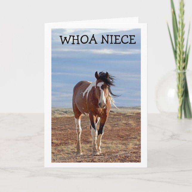 HAPPY BIRTHDAY "NIECE" CARD KARTE (Vorderseite)