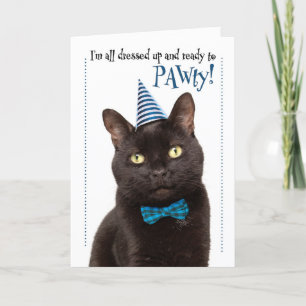 Happy Birthday Niedlich Cat in Party Hat Spaß Feiertagskarte