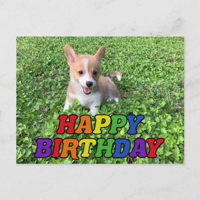 Happy Birthday Niedlich Corgi Puppy Foto Postkarte (Vorderseite)
