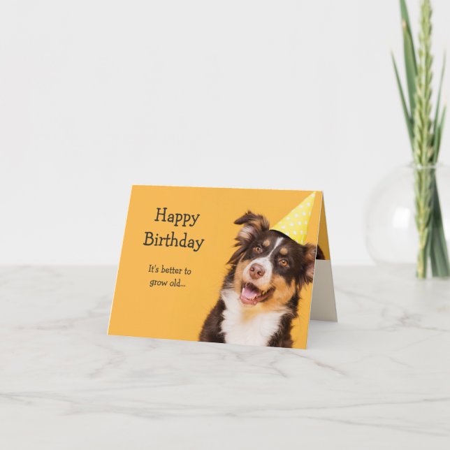 Happy Birthday Niedlich Dog Alte Fun Zitat Karte (Vorderseite)