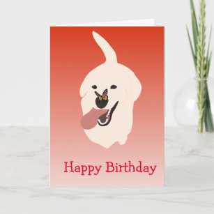 Happy Birthday Niedlich Labrador Golden Retriever Karte