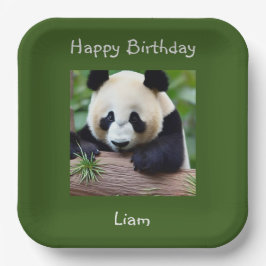 Happy Birthday Niedlich Panda Pappteller
