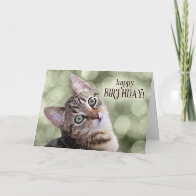 Happy Birthday Niedlich Tabby Kitten Karte (Vorderseite)