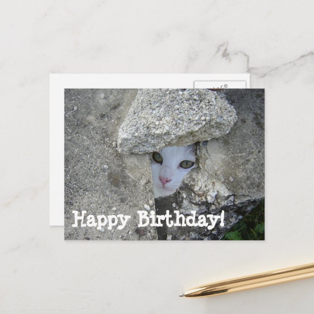 Happy Birthday Niedliche Katzenversteckung Postkarte (Vorderseite/Rückseite Beispiel)