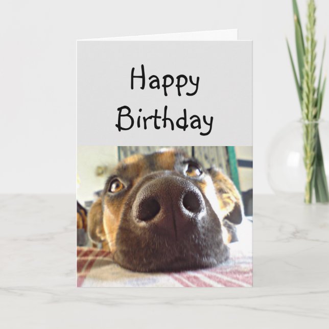 Happy Birthday NOSE Niedlich Hund Karte (Vorderseite)