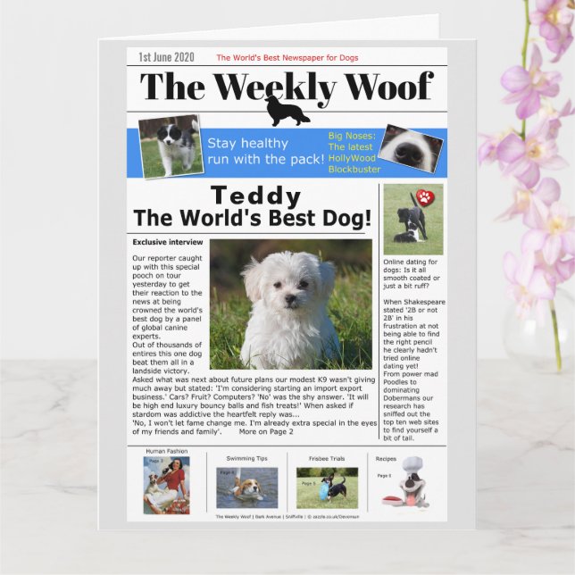 Happy Birthday Novelty Dog News Karte (Orchidee)