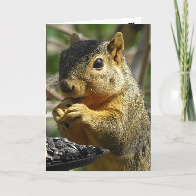 Happy Birthday Nutty Friend Funny Squirrel Karte (Vorderseite)