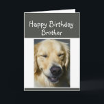 Happy Birthday Older Brother Fun Lachen Hund Karte<br><div class="desc">Denken Sie daran,  als älter war eine gute Sache Spaß Geburtstagskarte für den älteren Bruder.</div>