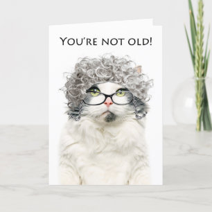 Happy Birthday Older Female Cat in Gray Wig Feiertagskarte