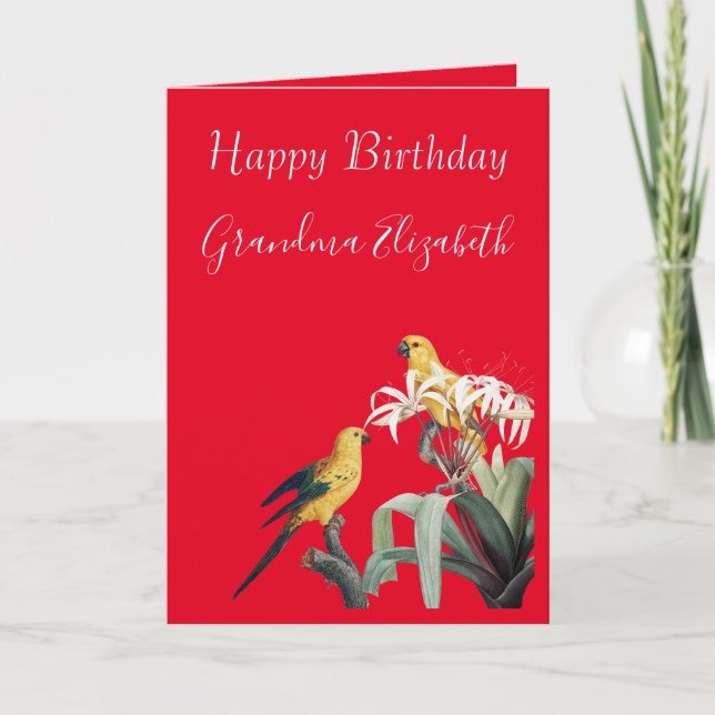 Happy Birthday Oma Parrots Karte (Vorderseite)