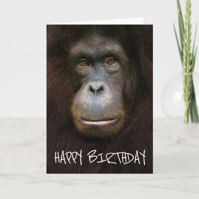 Happy Birthday | Orangutan Face Karte (Vorderseite)