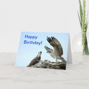 Happy Birthday osprey flapping wings Card Karte