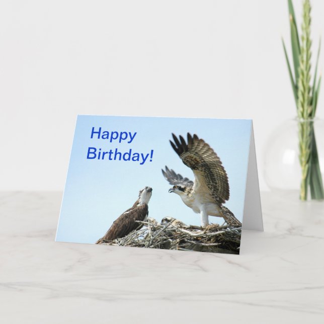Happy Birthday osprey flapping wings Card Karte (Vorderseite)