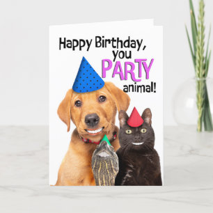 Happy Birthday Party Tier Funny Pets lächeln Feiertagskarte