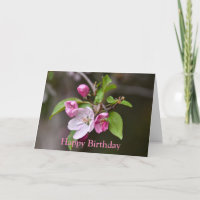 Happy Birthday Pink Crab Apple Blume Card