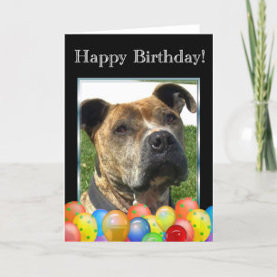 Happy Birthday Pitbull greeting card Karte