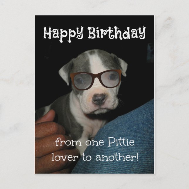 Happy Birthday Pittie Postkarte (Vorderseite)