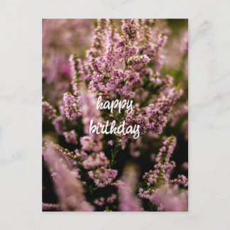Happy Birthday Postcard Heather Blume Fotografie Postkarte