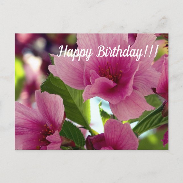 Happy Birthday Postcard Postkarte (Vorderseite)