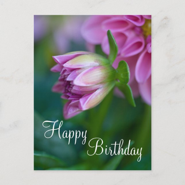 Happy Birthday Postcard Postkarte (Vorderseite)