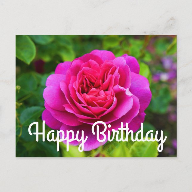 Happy Birthday Princess Anne Rose #1 Postcard Postkarte (Vorderseite)