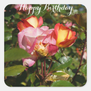 Happy Birthday Rainbow Sorbet Rose #2 Stickers