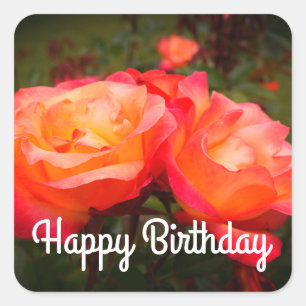 Happy Birthday Rainbow Sorbet Rose #3 Stickers