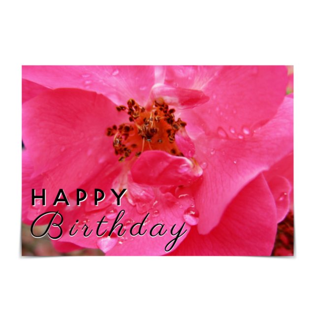 "Happy Birthday" Raindrop Pink Rose Card Karte (Von Creator hochgeladen)