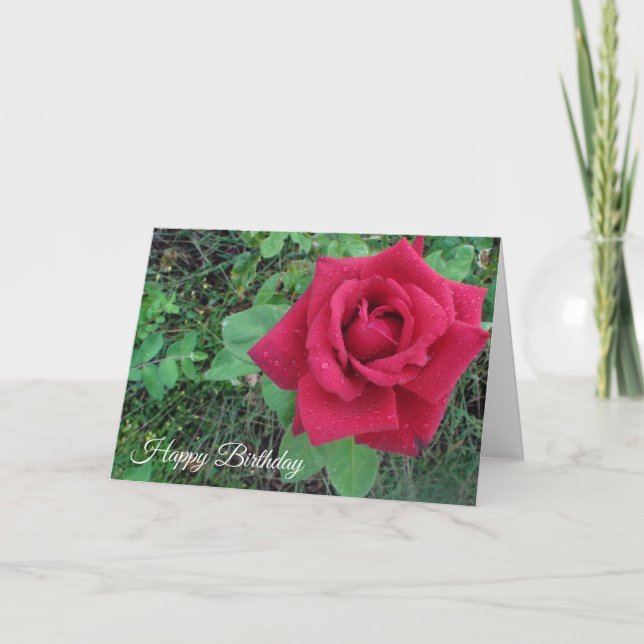 Happy Birthday Red Rose and Raindrops Card Karte (Vorderseite)
