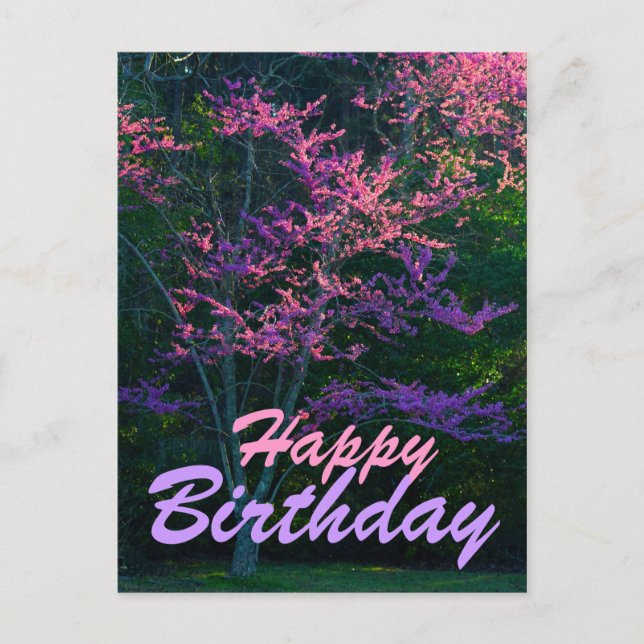 Happy Birthday - Redbud Blume Tree Postkarte (Vorderseite)