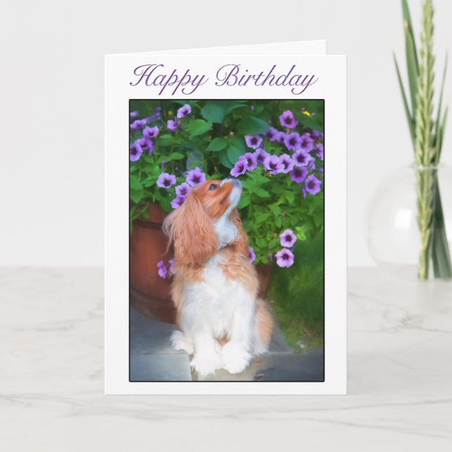 Happy Birthday Riechen Blume King Charles Dog Karte (Vorderseite)