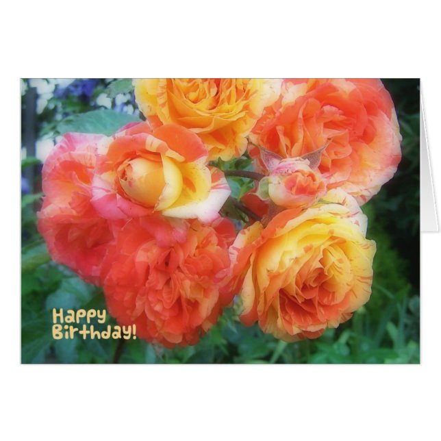 Happy Birthday Rose (Vorderseite (Horizontal))