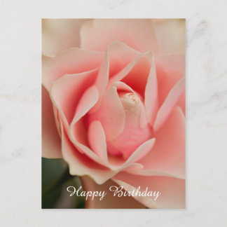 Happy Birthday Rose Postcard Postkarte
