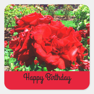 Happy Birthday Rote Rose #1 Stickers